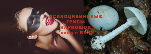 ALPHA PVP Киреевск