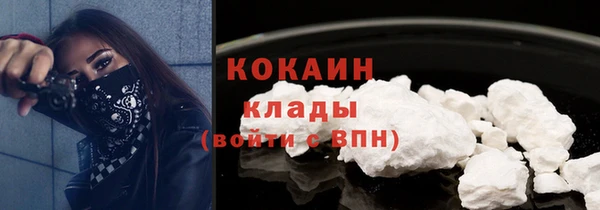 трава Кодинск