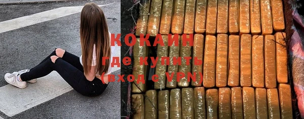 ПСИЛОЦИБИНОВЫЕ ГРИБЫ Карпинск